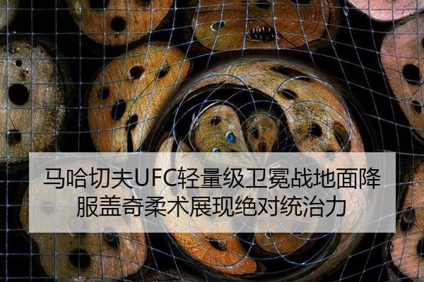 ma-ha-qie-fu-qing-liang-ji-wei-mian-zhan-di-mian-xiang-fu-gai-qi-rou-shu-zhan-xian-jue-dui-tong-zhi-li-3-772.jpg
