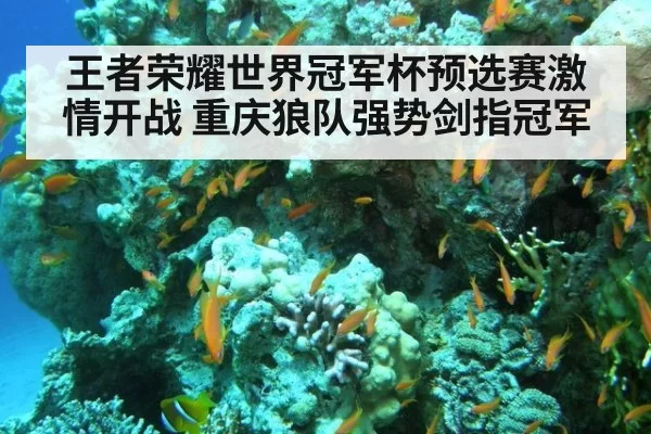 王者荣耀世界冠军杯预选赛激情开战 重庆狼队强势剑指冠军